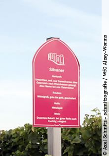 Rebsorten-Hinweisschild am Eckelsheimer Wein- & Kräuterwanderweg