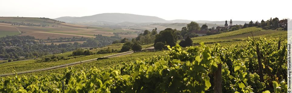 Weiter Blick über die Weinberge ins Zellertal